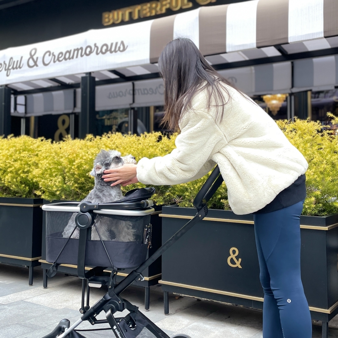Unilove Lồng đựng, vận chuyển thú cưng tiện lợi, an toàn On-the-Go