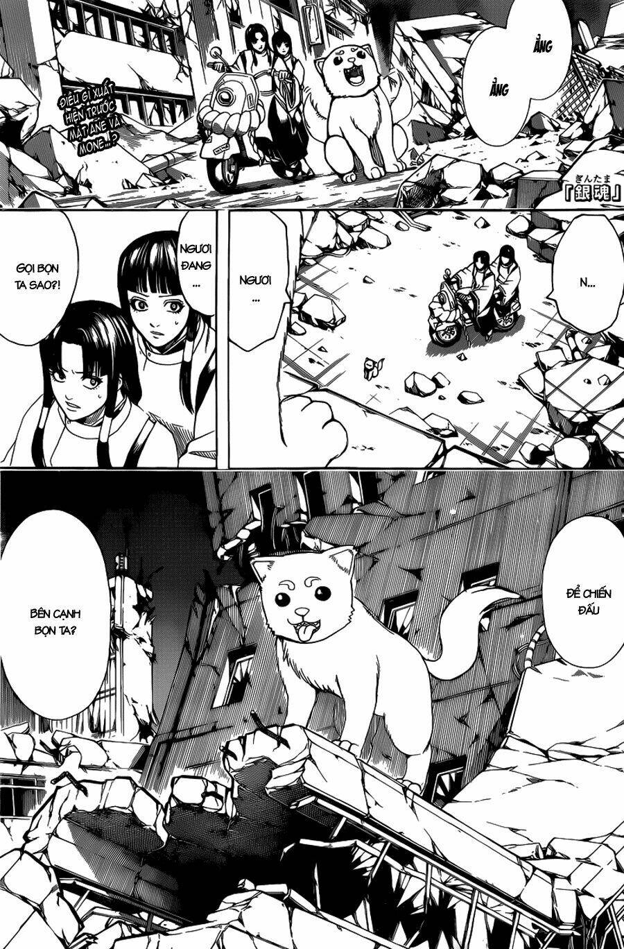 gintama - linh hồn bạc chapter 651 1