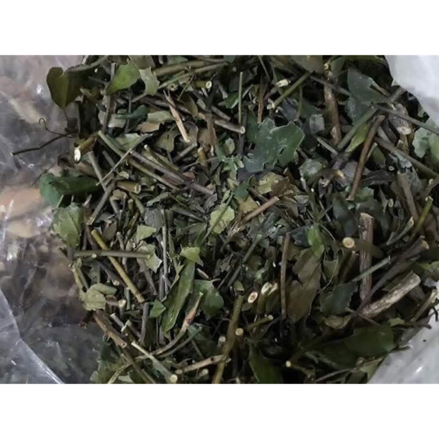 Cao lá vằng quảng trị 100gram