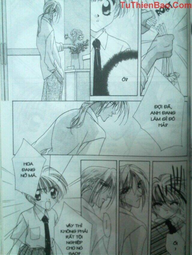 nguyện ước dưới ánh sao chapter 2 54