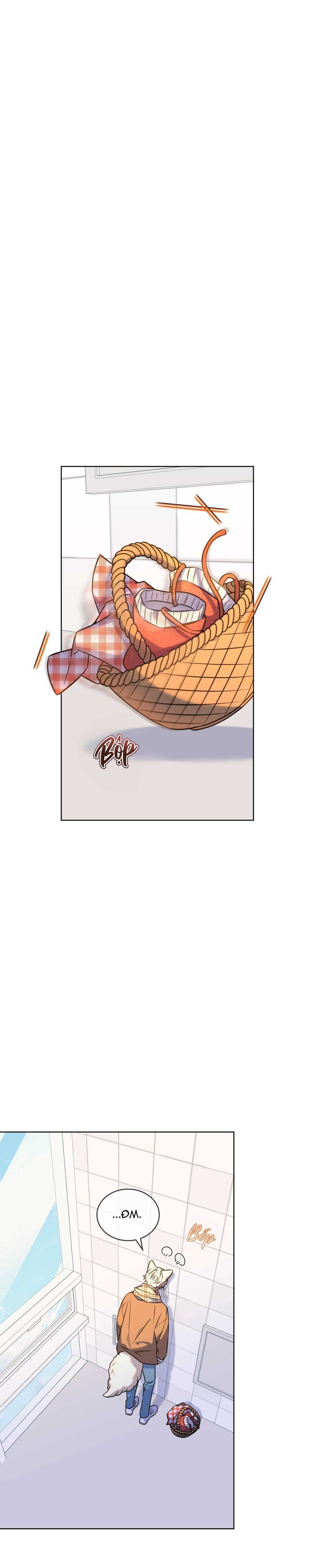 nước uống tình yêu của cáo plin chapter 12 2