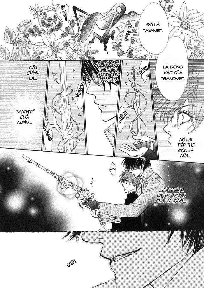 kim cương bạc chapter 1 33