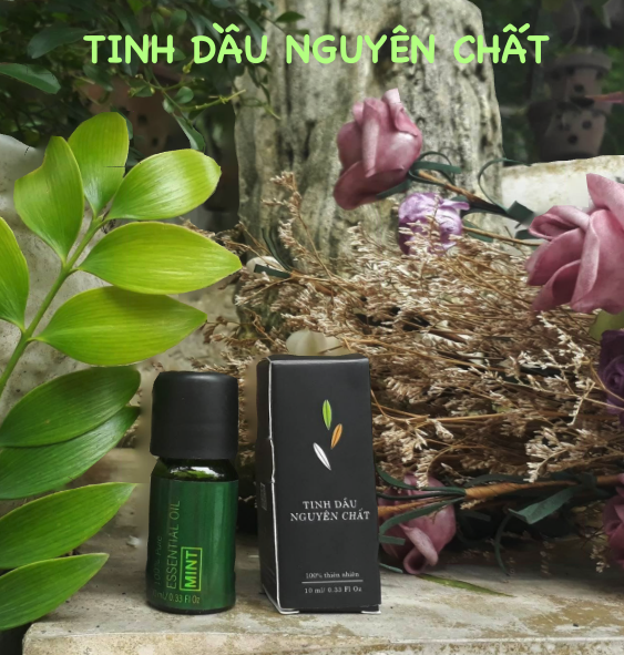 Tinh dầu nguyên chất 10ml: Kháng Khuẩn, Đuổi Muỗi, Côn Trùng, Giảm Stress, Thư Giãn. 100% từ thiên nhiên.