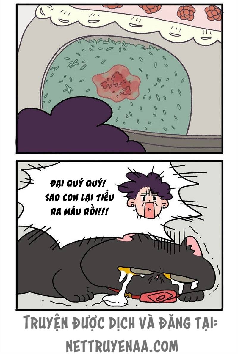 a mãn và mạch trà chapter 16.1 4