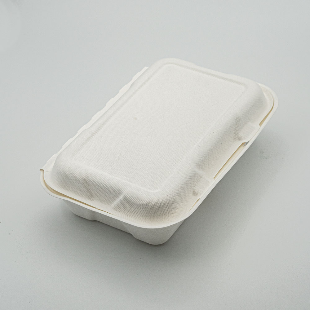 10 hộp bã mía 2 ngăn 900ml