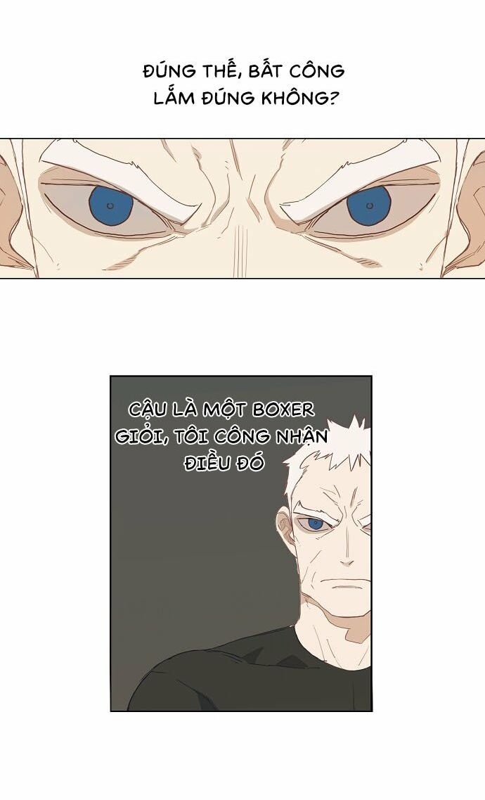 Võ Sĩ Quyền Anh chapter 13 12