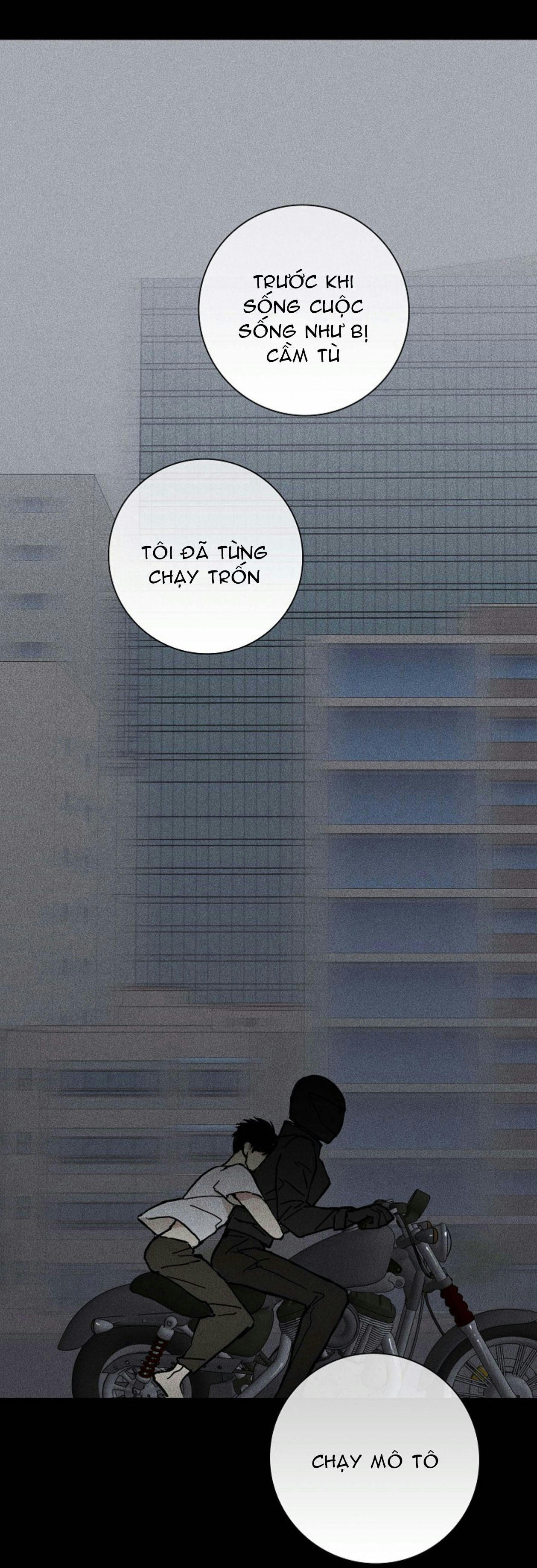 người đàn ông đã kết hôn chapter 15 56