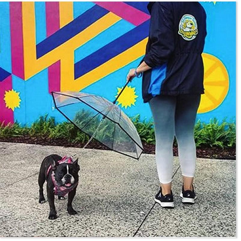 Dù che mưa che nắng cho BOSS Pet Umbrella Gia Dụng SG