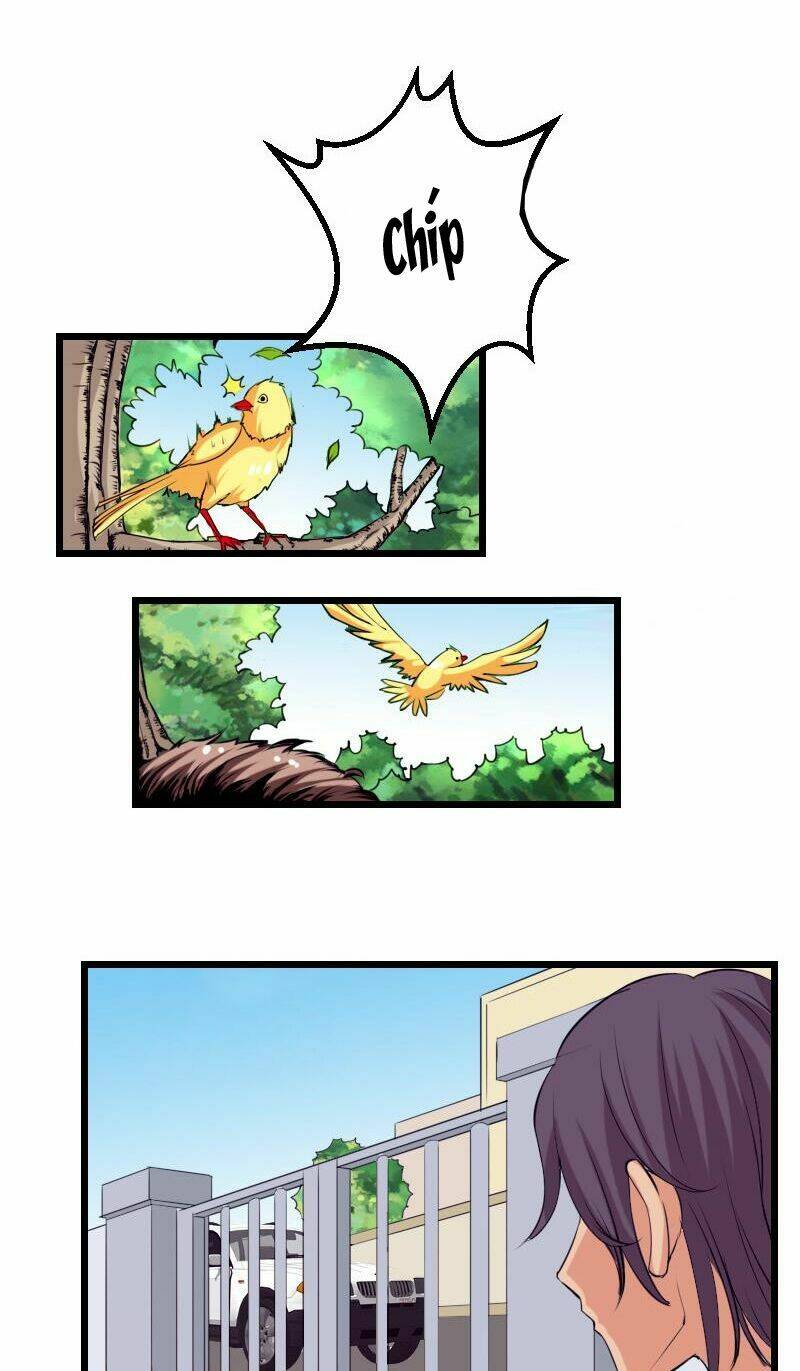 ngưu thư cung ứng thương chapter 33 12