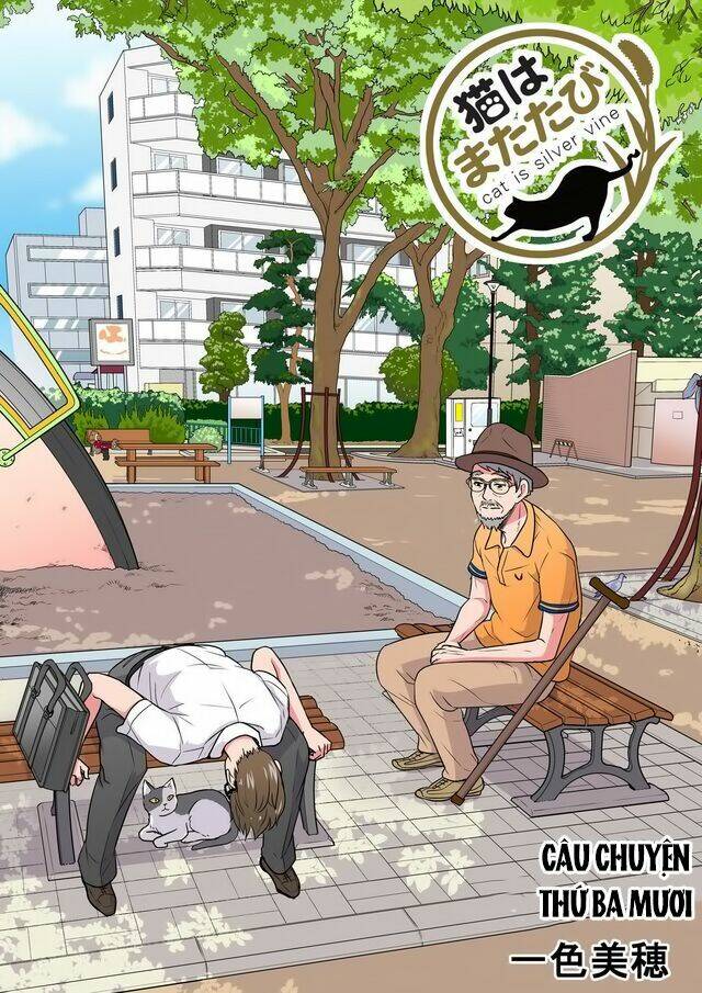 cat is silver vine chapter 30 1