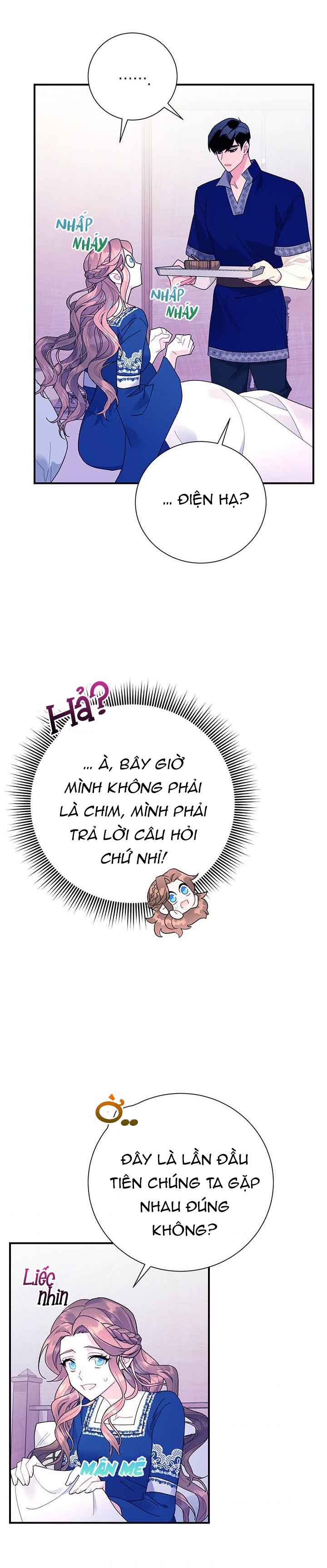 công chúa của loài chim chapter 41.2 2