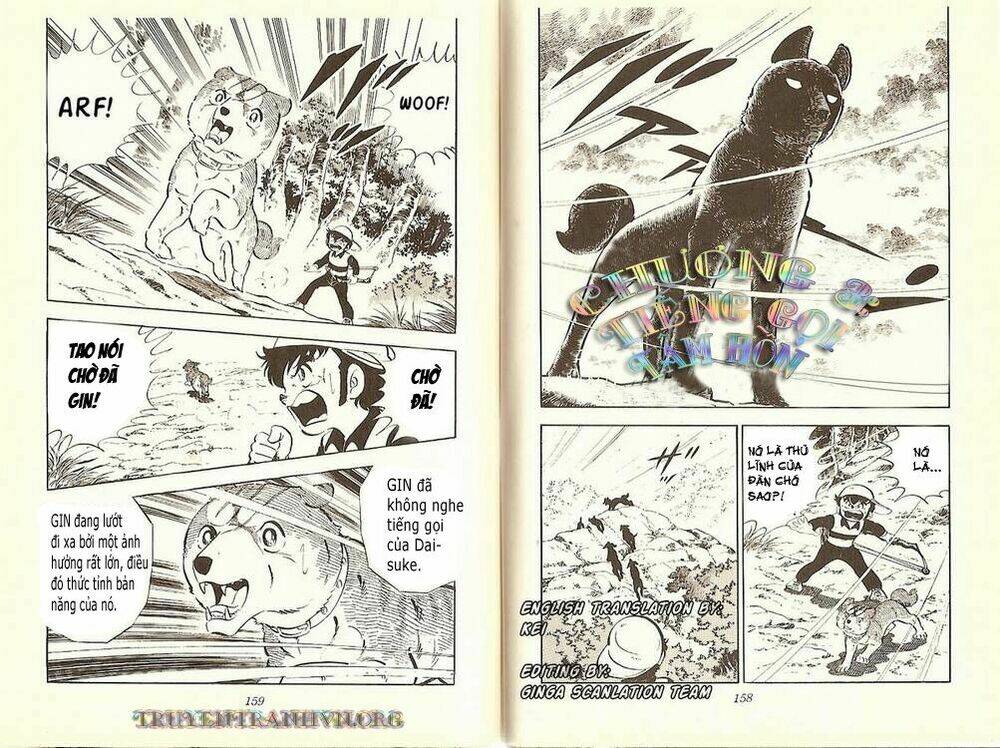 chú chó có nghĩa - ginga nagareboshi gin chapter 10 1