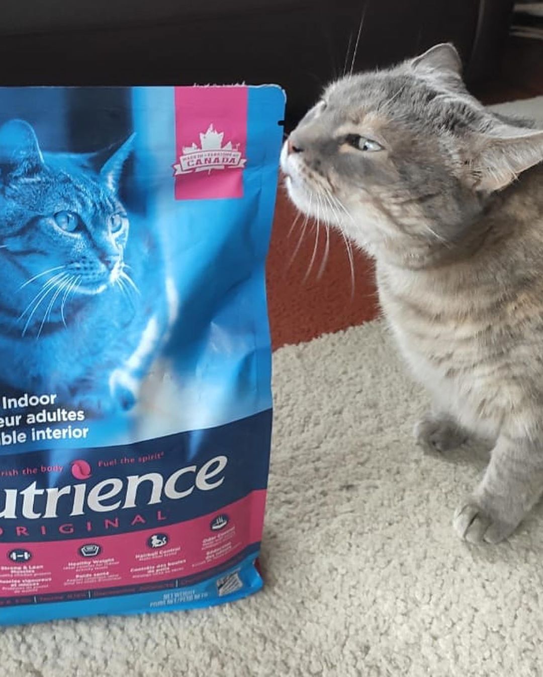 Thức Ăn Hạt Cho Mèo Ba Tư - Nutrience Subzero Bao 5kg - Thức Ăn Cho Mèo (Gồm Có 4 Loại Thịt Cá, Rau Củ, Trái Cây)