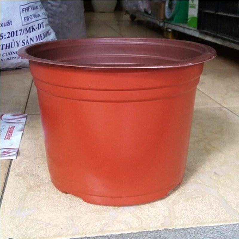 Combo 100 cái Chậu nhựa nâu N18x15cm trồng cây ăn trái và hoa,bền đẹp-77427