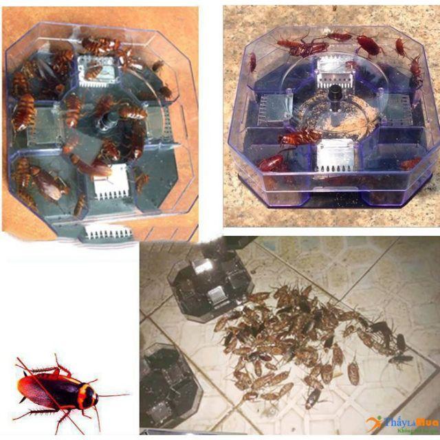 Máy bắt gián thông minh hiệu quả