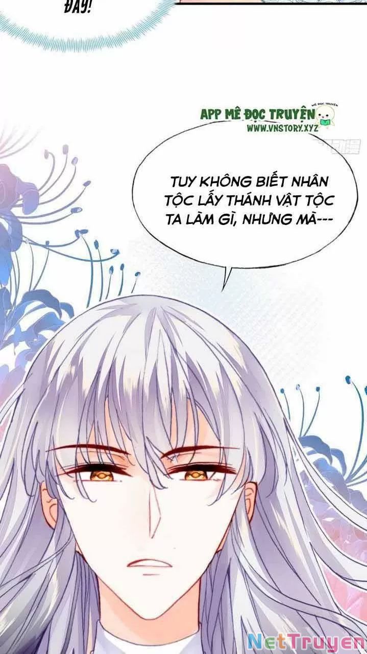 lại bị bệnh chiều chuộng quấn lấy chapter 9 53