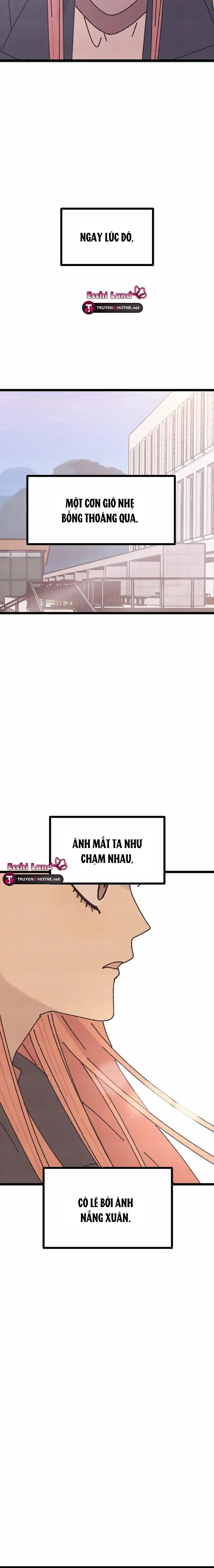 quy luật màu hồng tồi tệ chapter 1.2 5