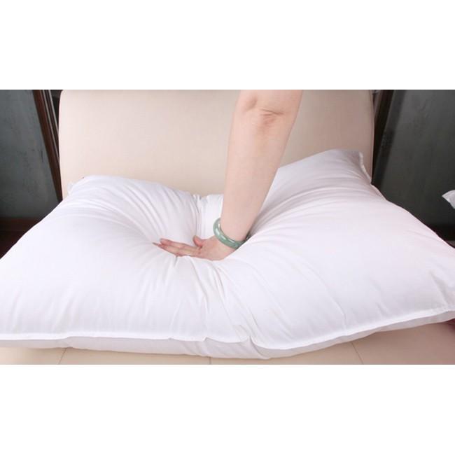 Combo 2 ruột gối hơi 50x70cm 2 ruột gối hơi 50x70cm ruột gối ngủ có dây kéo giặt được gòn
