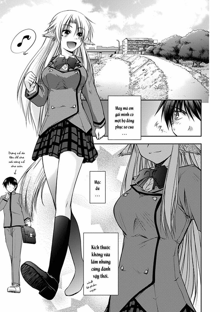 perowan! - hayaku shinasai! goshujin-sama chapter 2 7