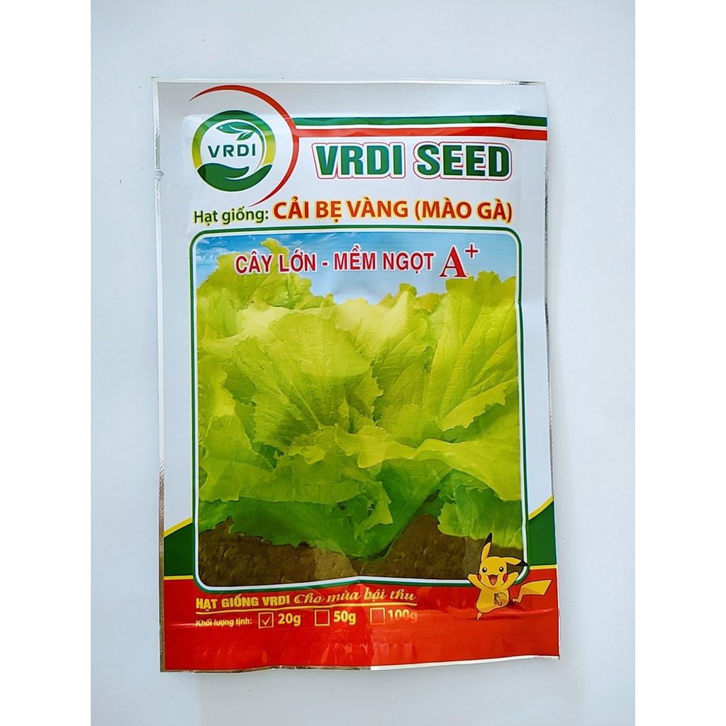 Hạt giống cải bẹ vàng, cải mào gà F1, cây lớn, mềm ngọt, chịu nhiệt tốt, siêu dễ trồng gói 20g
