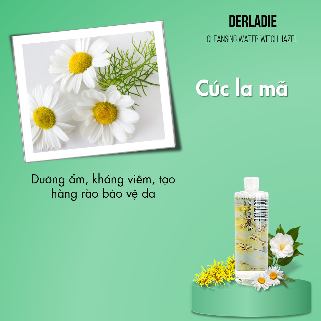 Nước Tẩy Trang Làm Sạch Da, Kháng Khuẩn Derladie Cleansing Water Witch Hazel 500ml