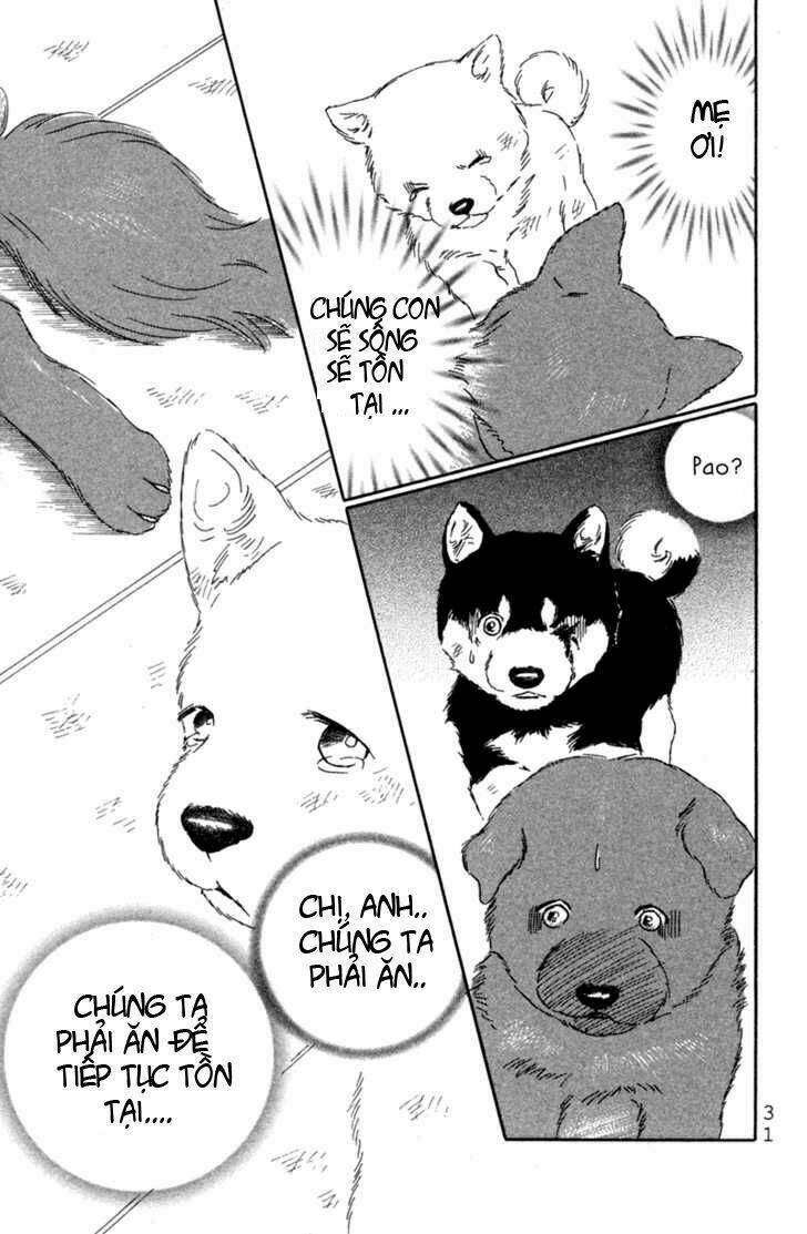 deep love - pao no monogatari chapter 1 34