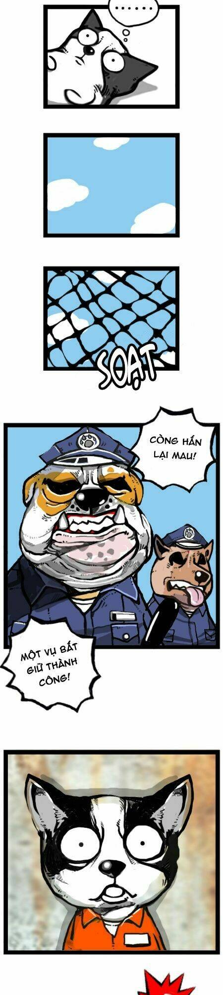 earth, human, and animal chapter 21 17