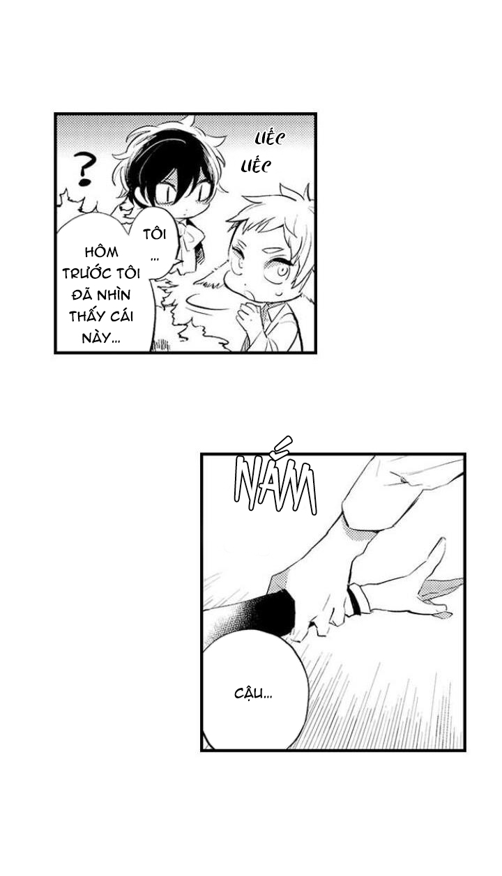 tiếng gọi của tình yêu sau trải nghiệm cận tử chapter 16 9