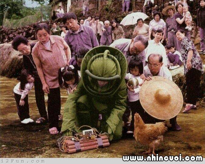 hình ảnh hài hước new chapter 15 37