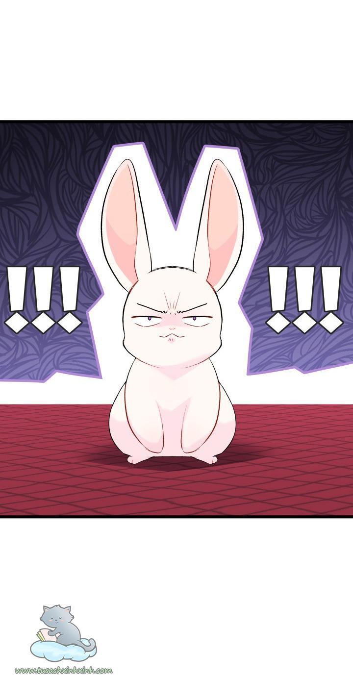 quan hệ cộng sinh giữa báo đen và thỏ trắng chapter 46 46
