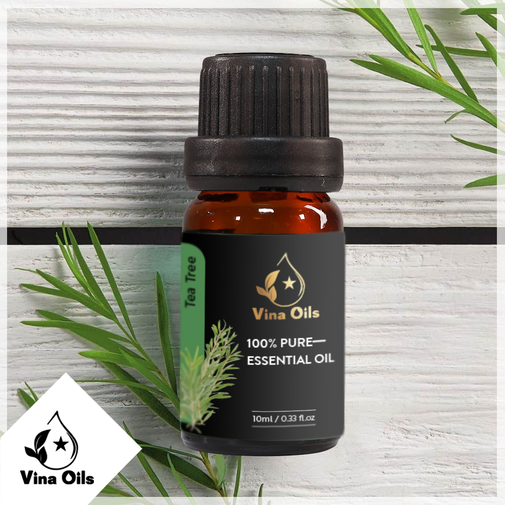 Tinh Dầu Tràm Trà Vina Oils 10ml - Tea Tree Essential Oil 10ml - Chiết Xuất Từ Lá Cây - Với Hương Thơm Mát Dịu Và Thanh Khiết, Sát Khuẩn Cho Không Gian, Tạo Sự Tự Tin, Xua Tan Mệt Mỏi, Bực Dọc