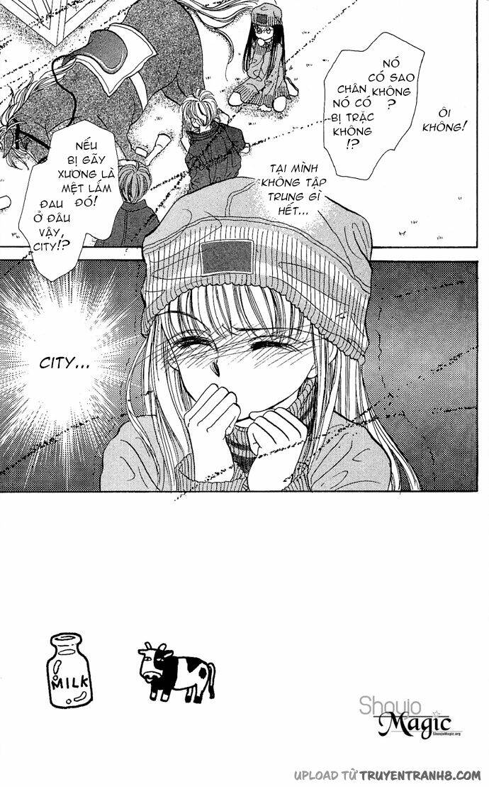 milk to vitamin chapter 5 5