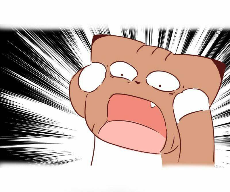 saphie: chú mèo một mắt chapter 29 11