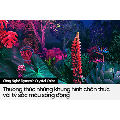 SAMSUNG TV Crystal UHD 4K BU8000 - Hàng chính hãng