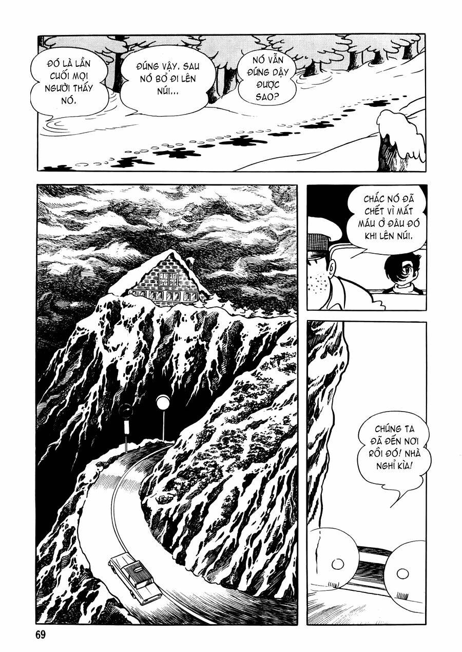 the crater chapter 10 5