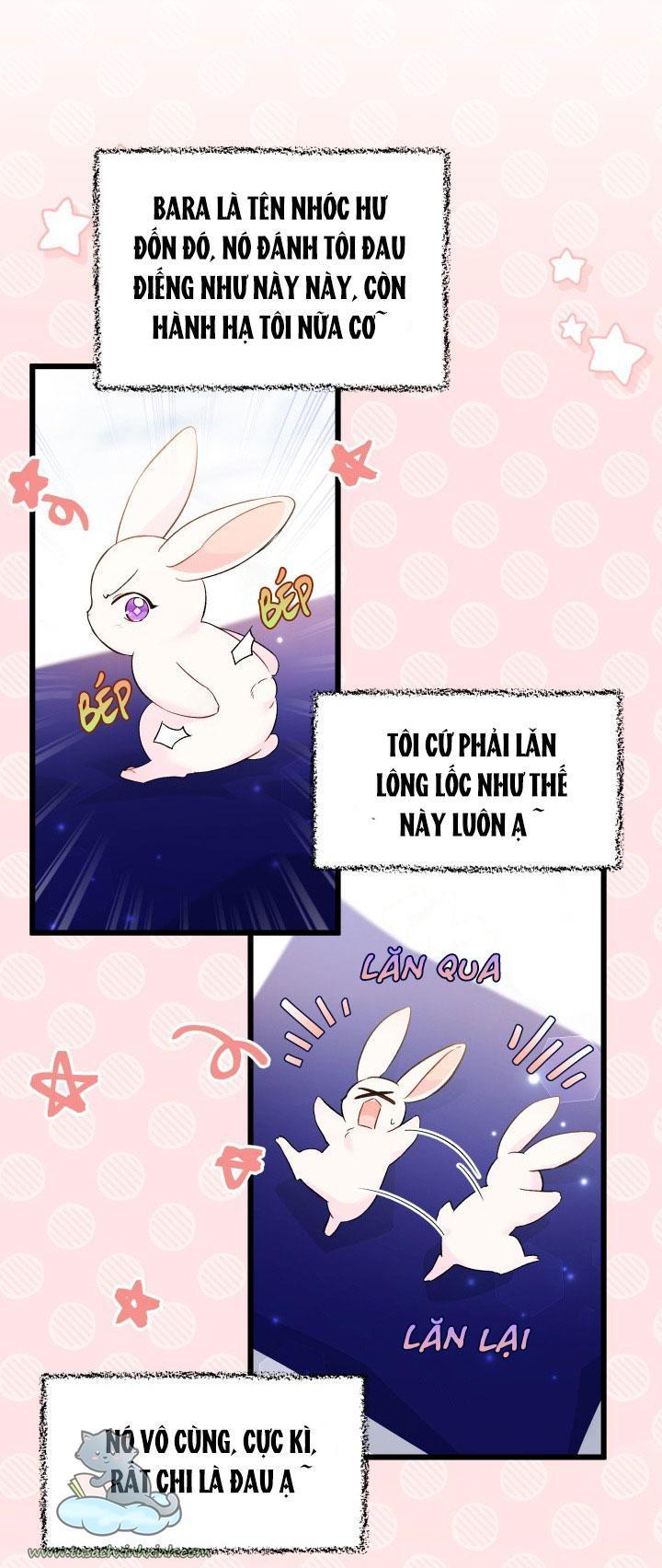 quan hệ cộng sinh giữa báo đen và thỏ trắng chapter 56 12