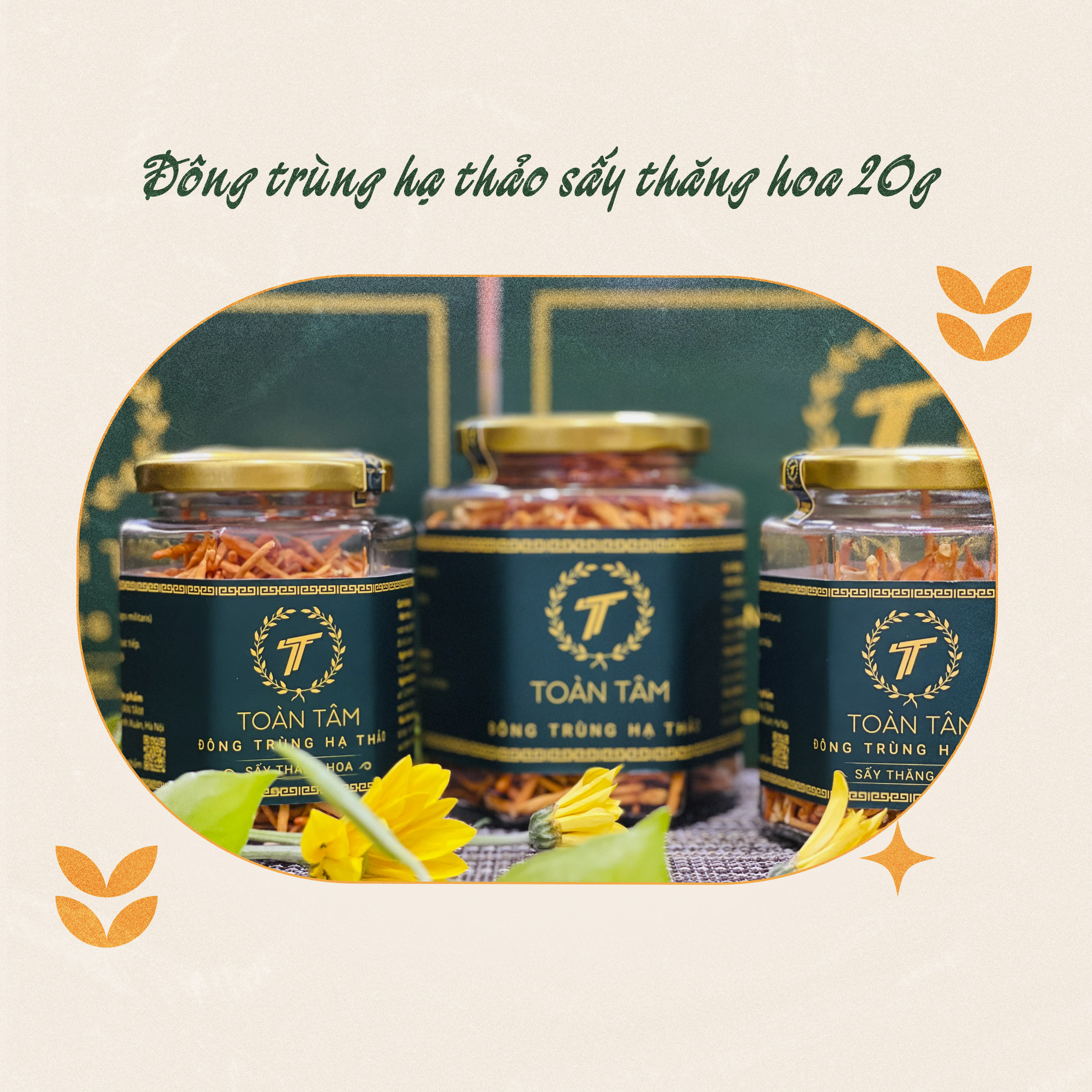 ĐÔNG TRÙNG HẠ THẢO SẤY THĂNG HOA TOÀN TÂM