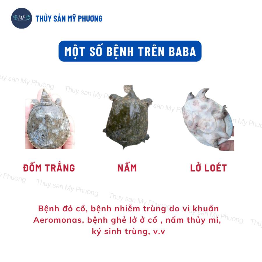 Ks đường ruột trống lò xo phân trắng Rifamax nhiễm trùng xuất huyết sình bụng không tiêu cho tôm thẻ cá lươn ếch ốc baba
