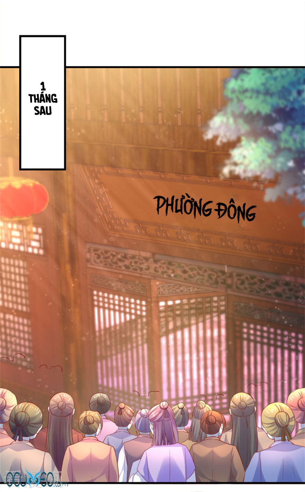 từ đây vương gia không thượng triều sớm chapter 30 15