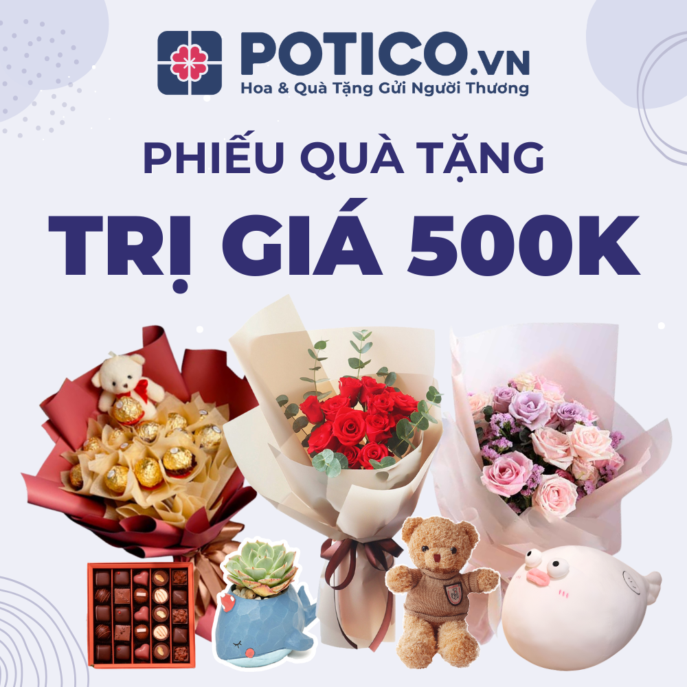 Toàn quốc [E-Voucher] Phiếu quà tặng trị giá 500k, áp dụng cho mọi sản phẩm tại web/app Potico.vn