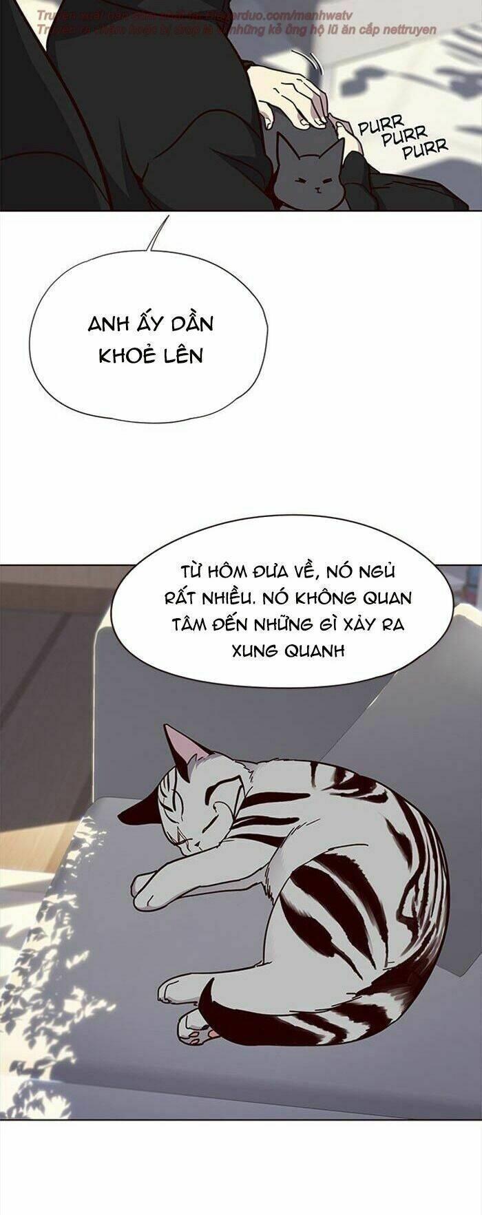 biến thân thành mèo chapter 34 49