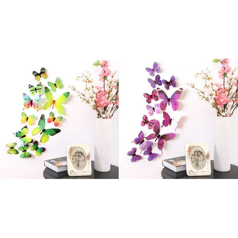 Decal dán tường Bướm 3D