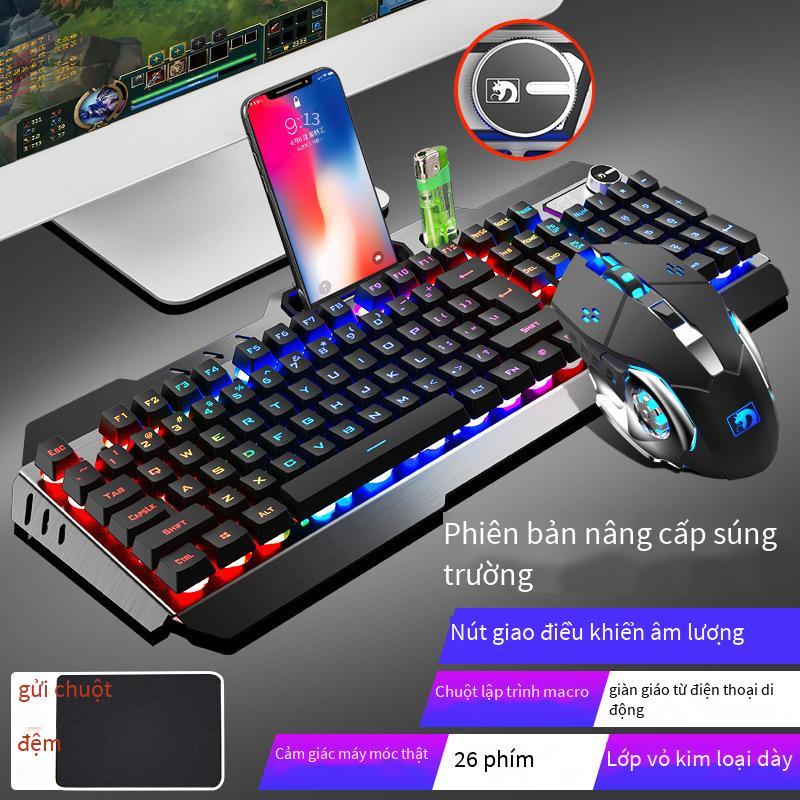Giá thấp nhất Xinmeng Mamba con rắn điên thao túng bộ bàn phím chuột trò chơi máy tính xách tay máy tính để bàn chuột phím có dây