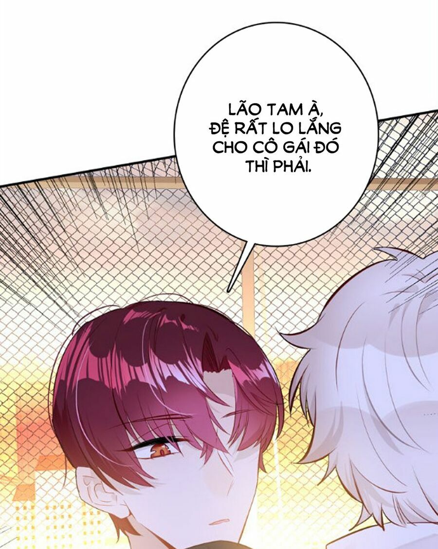 Ái Thượng Ngạo Kiều Long Vương Gia chapter 28 - Trang 12