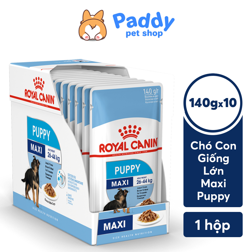 [Hộp 10 gói] Pate Cho Chó Royal Canin Maxi Puppy