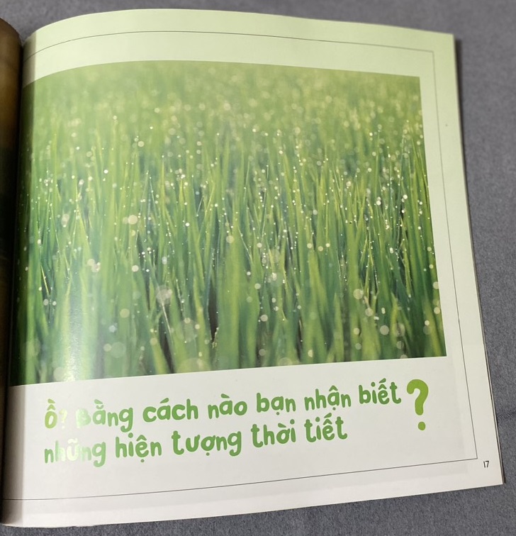 Sách - Kính vạn hoa thiên nhiên: Cơn mưa thần kì