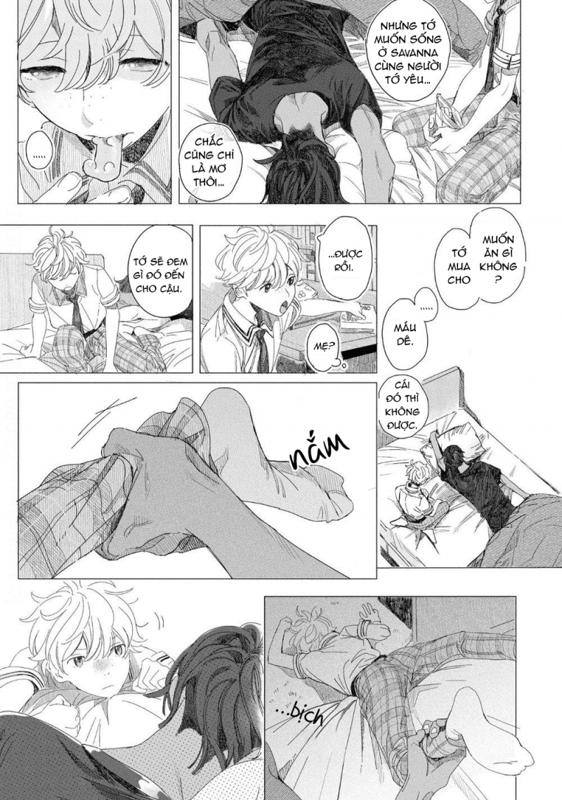đất nước của những chú sư tử chapter 4 11