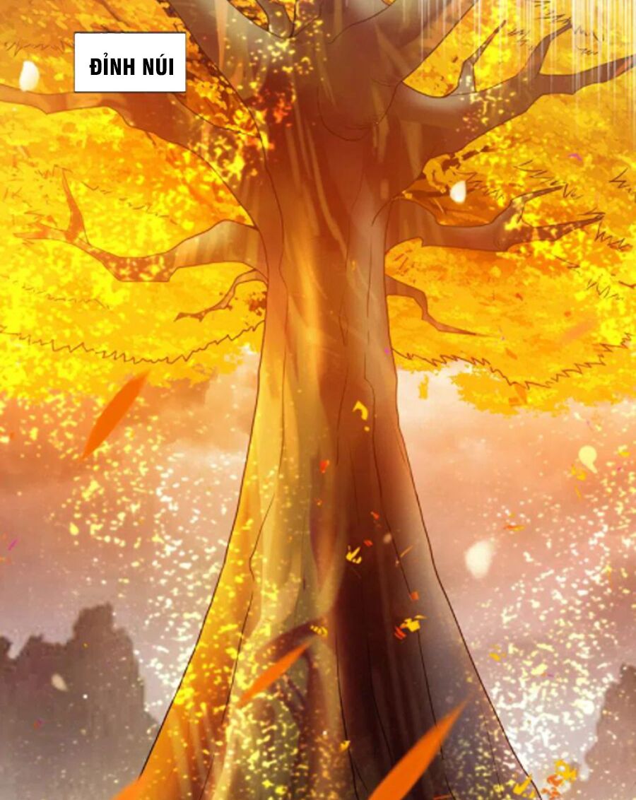 tối cường thần y tại đô thị chapter 256 30