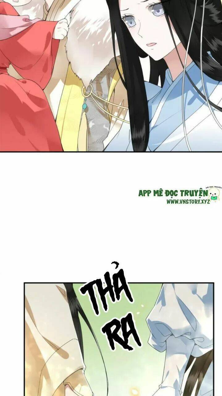 phượng hoàng vu phi chapter 75 14