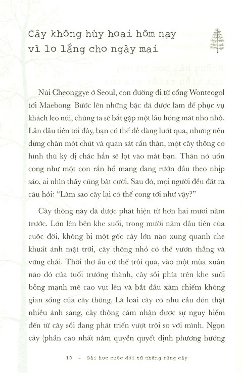 Bài Học Cuộc Đời Từ Những Rừng Cây
